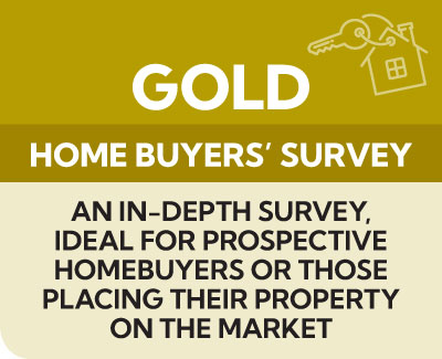 Gold-Home-buyers-Survey