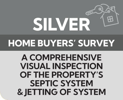 Silver-Home-buyers-Survey